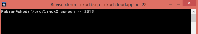 Connect to running screen